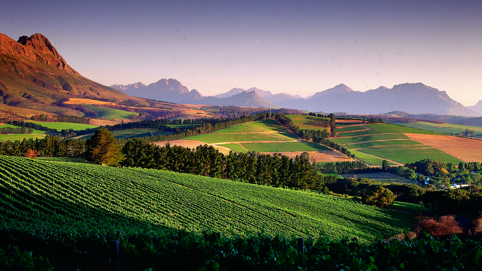 Top South African Wineries