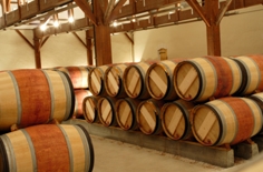 Business Opportunities 